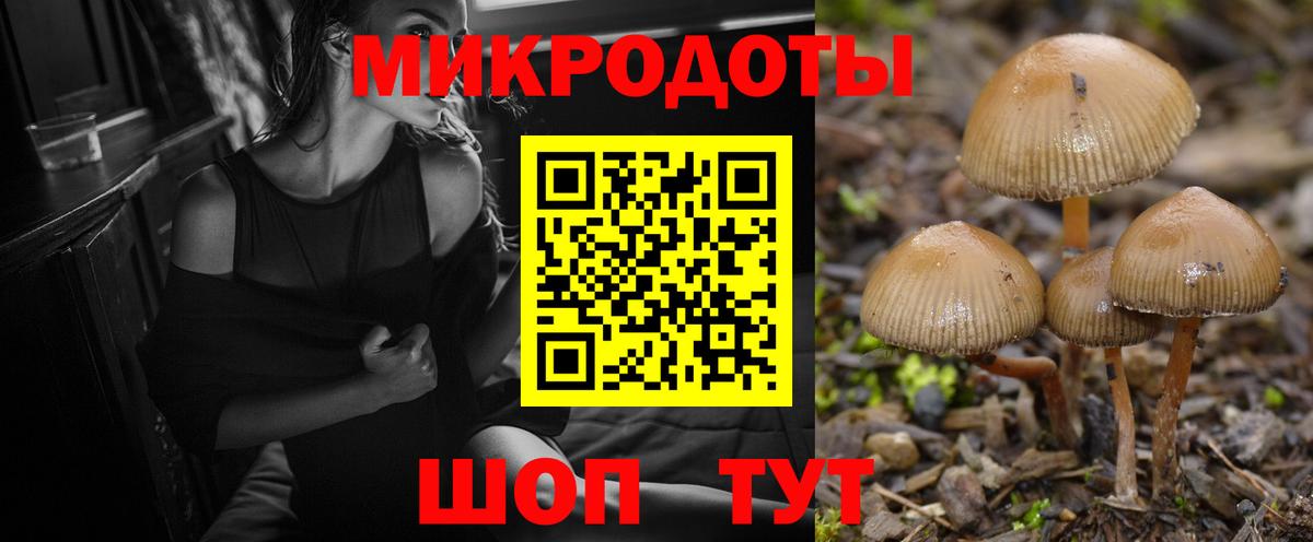 Галлюциногенные грибы прущие грибы Морозовск